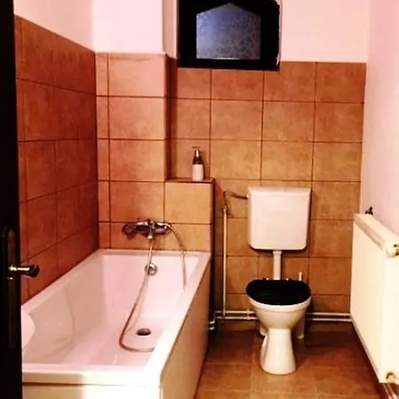 Apartment Dacia Boutique *